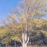 org:/landingpages/winnaars DK NO SE/10e-prize-scandinavie.jpg